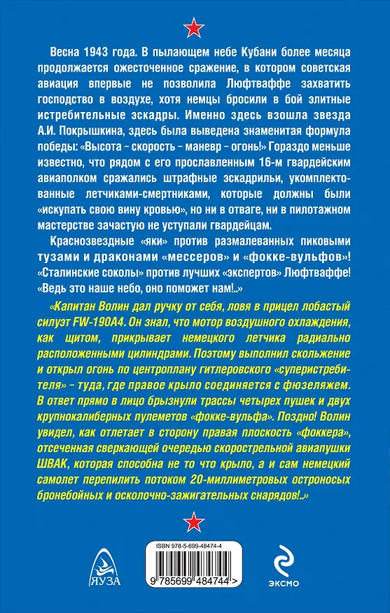 Книга Штрафники против асов Люфтваффе. "Ведь это наше небо..." (Георгий Савицкий) — 2