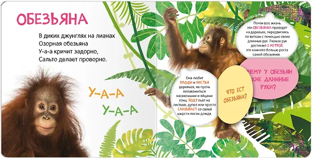 Книга Книжки с окошками. Кто где живет? () — 4