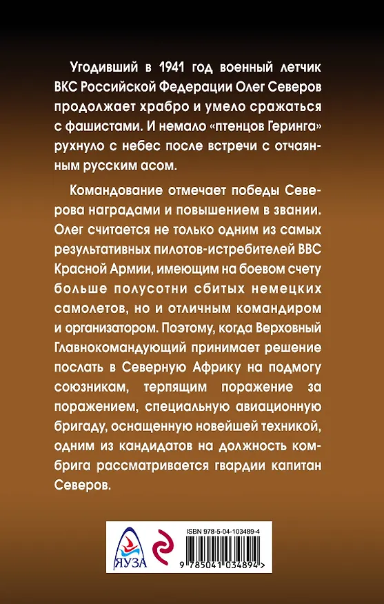 Книга Сталинский сокол. Комбриг (Михаил Нестеров) — 2