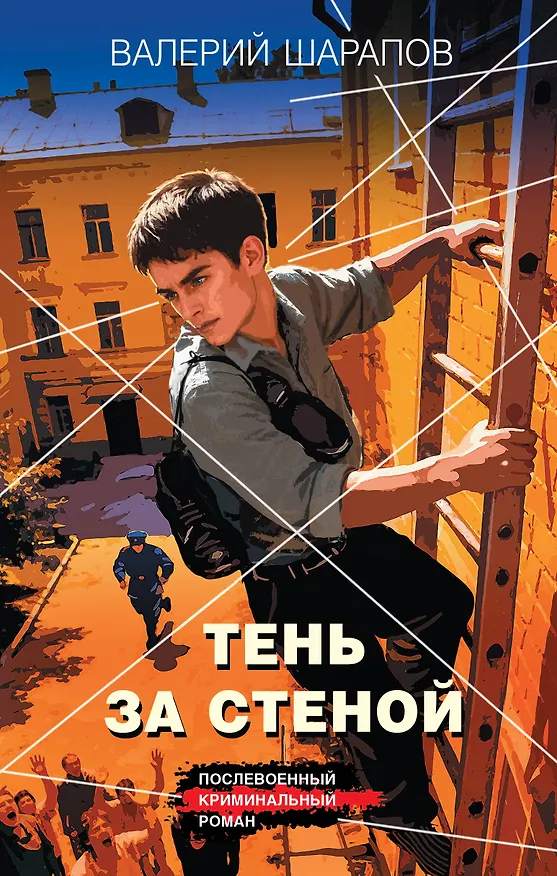 Книга Тень за стеной (Валерий Шарапов) — 1