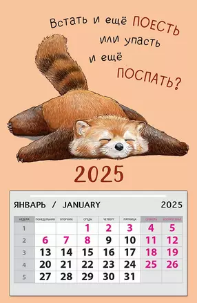 Календарь 2025г 95*145 "Встать и еще поесть или упасть и еще поспать?" на магните — 3057499 — 1