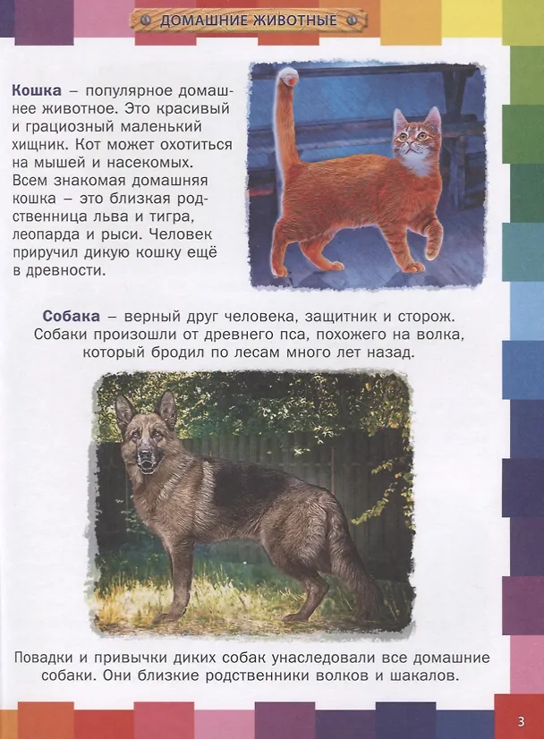 Книга Животные мира.Энциклопедия для самых маленьких () — 2