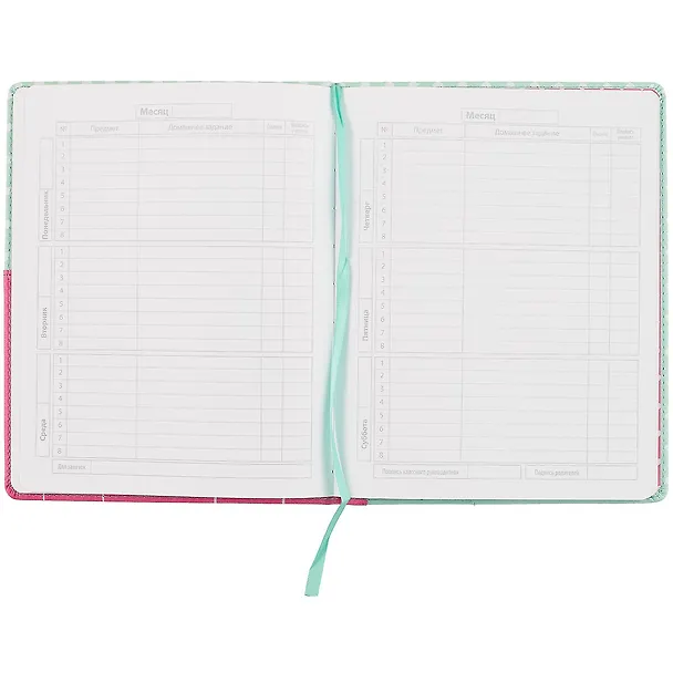 Дневник школьный «Кот розовый на мятном», Феникс+ 249614 — 2