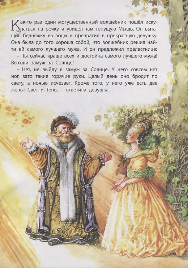 Книга Волшебник и Мышка () — 2