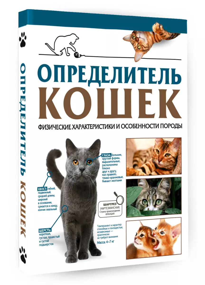 Определитель кошек. Физические характеристики и особенности породы (Дмитрий  Смирнов, Анна Спектор) - купить книгу с доставкой в интернет-магазине  «Читай-город». ISBN: 978-5-17-156759-0