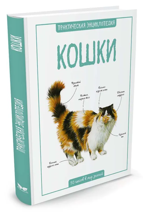 Книга Кошки (Камилла де ла Бедуайер) — 2