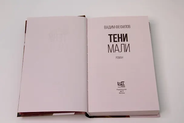 Книга Тени Мали (Вадим Фефилов) — 9