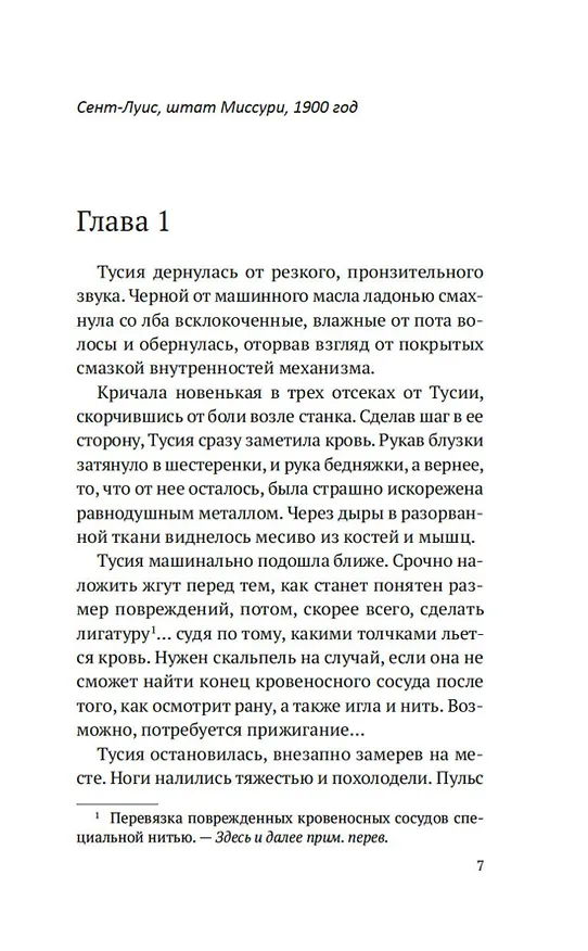 Книга Шарлатанка (Аманда Скенандор) — 16