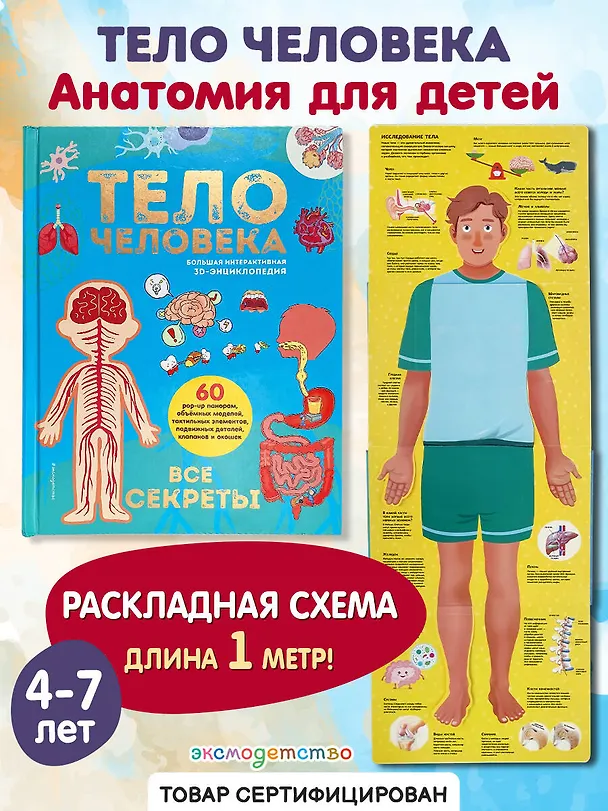 Книга Тело человека. Все секреты. Большая интерактивная 3D-энциклопедия () — 6