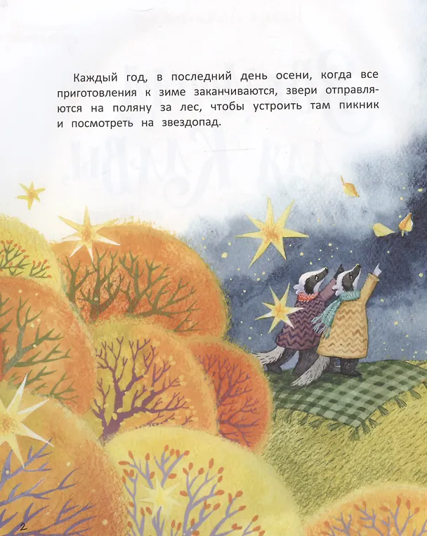 Книга Звездопад для Клавы, или История о настоящей дружбе (Наталья Александровская) — 4