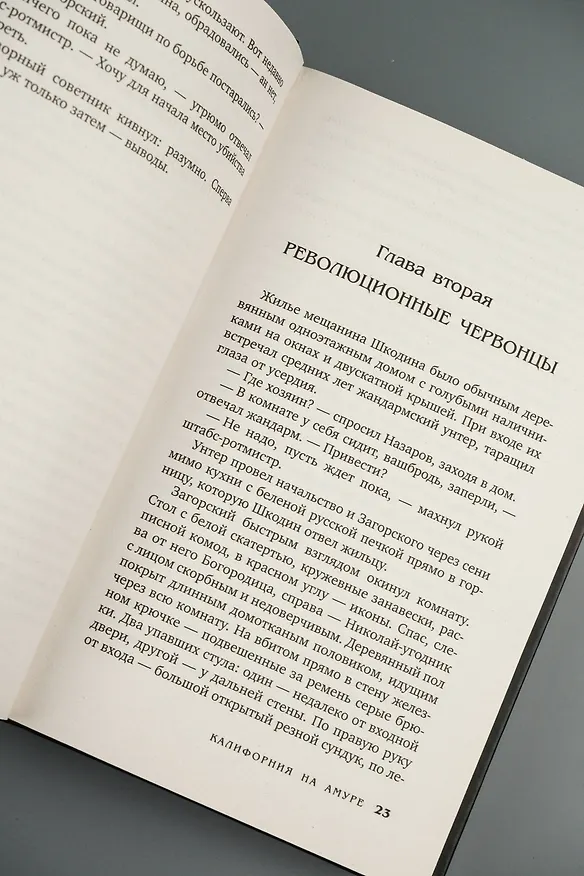 Книга Калифорния на Амуре (Анонимус) — 11
