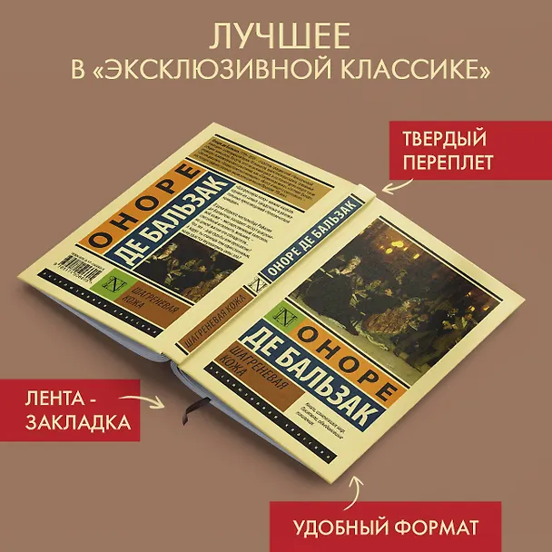 Книга Шагреневая кожа (Оноре де Бальзак) — 5
