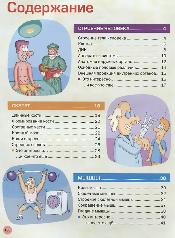 Книга Большая иллюстрированная энциклопедия. Все о теле человека () — 2