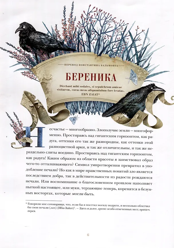 Книга Безумие памяти (Эдгар По) — 5
