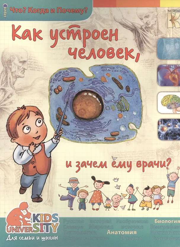Книга Как устроен человек и зачем ему врачи?. Энциклопедия. (Ольга Соколова) — 1