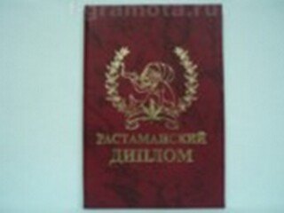 Растаманский диплом (AE0000775) (Мастер) 2304938 — 1