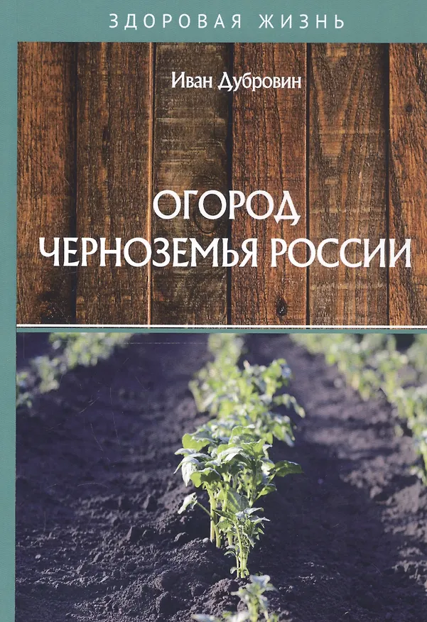 Книга Огород Черноземья России (Иван Дубровин) — 1