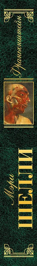 Книга Франкенштейн: роман (Мэри Шелли) — 3
