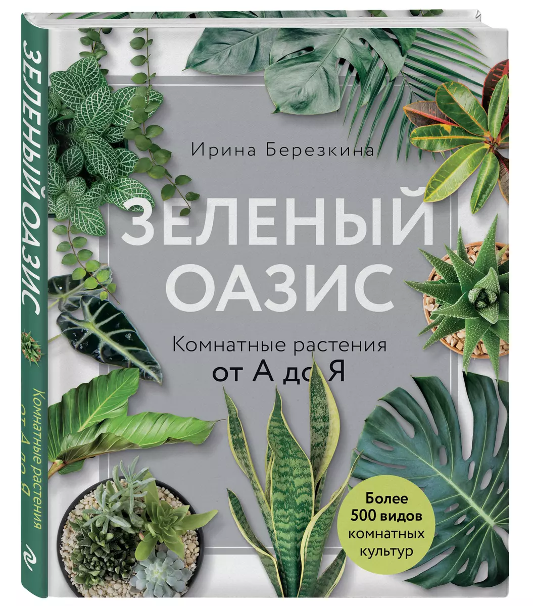 Зеленый оазис. Комнатные растения от А до Я (Ирина Березкина) - купить  книгу с доставкой в интернет-магазине «Читай-город». ISBN: 978-5-04-098786-3