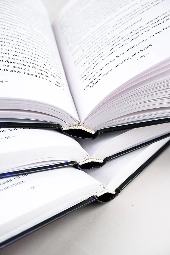 Книга Комплект из 3-х книг. "Трилогия "Алой зимы" Аннетт Мари" (Аннетт Мари) — 14