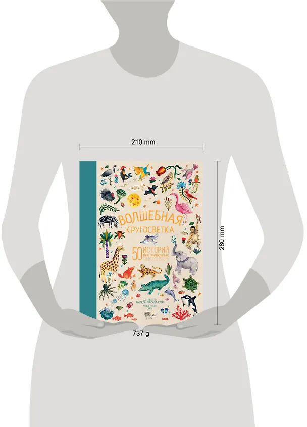 Книга Волшебная кругосветка. 50 историй про животных со всего света (Анжела Макаллистер) — 4