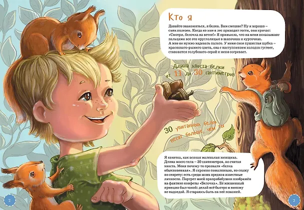 Книга Я Белка (Елена Коренева) — 2