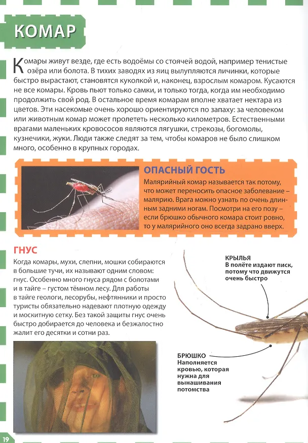 Книга Насекомые () — 3