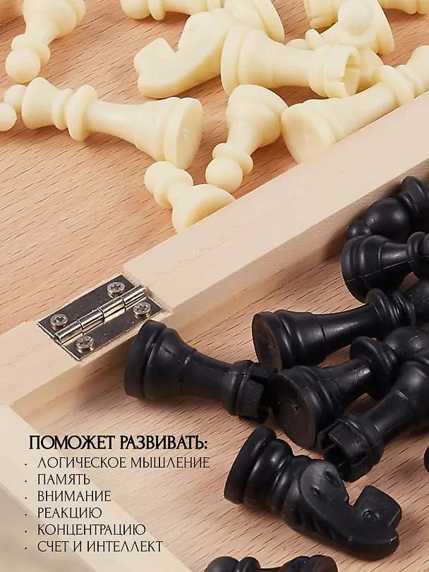 Шахматы с пластиковыми фигурами, 24 х 24 см 2644658 — 2