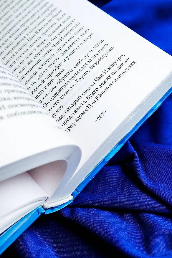 Книга Синий шепот. Книга 2 (Цзюлу Фэйсян) — 14
