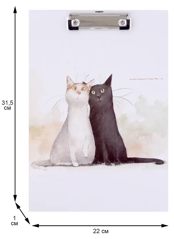 Планшет «Коты. Павлик и Валера», А5, ламинированный картон, Be positive 2946660 — 2