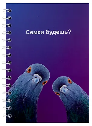 Тетрадь в клетку Hai Bin, "Голуби (семки)", 80 листов 2970918