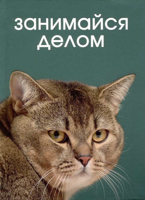 Записная книжка «Кот дело говорит» А6, 64 листа в клетку, Listoff 2994933 — 1