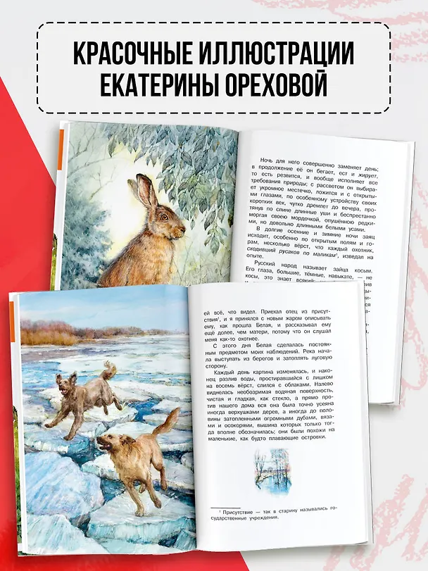 Книга Рассказы о природе (Сергей Аксаков) — 7