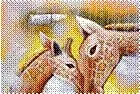 Картина Жирафы (18642) (50х70) 2237401