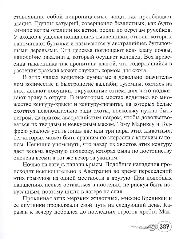 Книга Мистрис Бреникен (Жюль Габриэль Верн) — 5