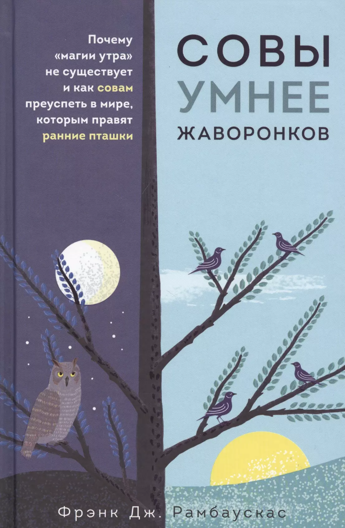 Совы умнее жаворонков. Почему "магии утра" не существует и как совам преуспеть в мире, в котором правят ранние пташки