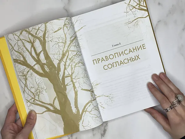 Книга Русский язык. Орфография (Людмила Великова) — 8