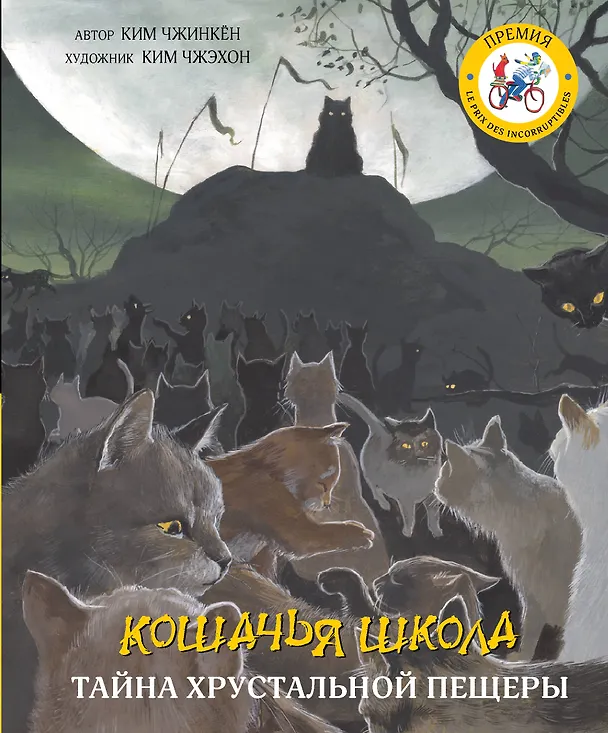 Книга Кошачья школа: Тайна хрустальной пещеры (Чжинкён Ким) — 1