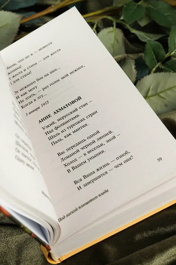 Книга Под лаской плюшевого пледа (Марина Цветаева) — 10