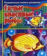 Самые красивые рыбы: Развивающая книжка-раскраска — 2110697 — 1