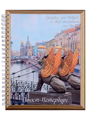 Тетрадь в клетку "СПб", А5, 96 листов, в ассортименте 301970