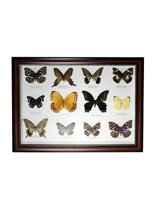 Панно Бабочки (33х43) (101012) 2398645