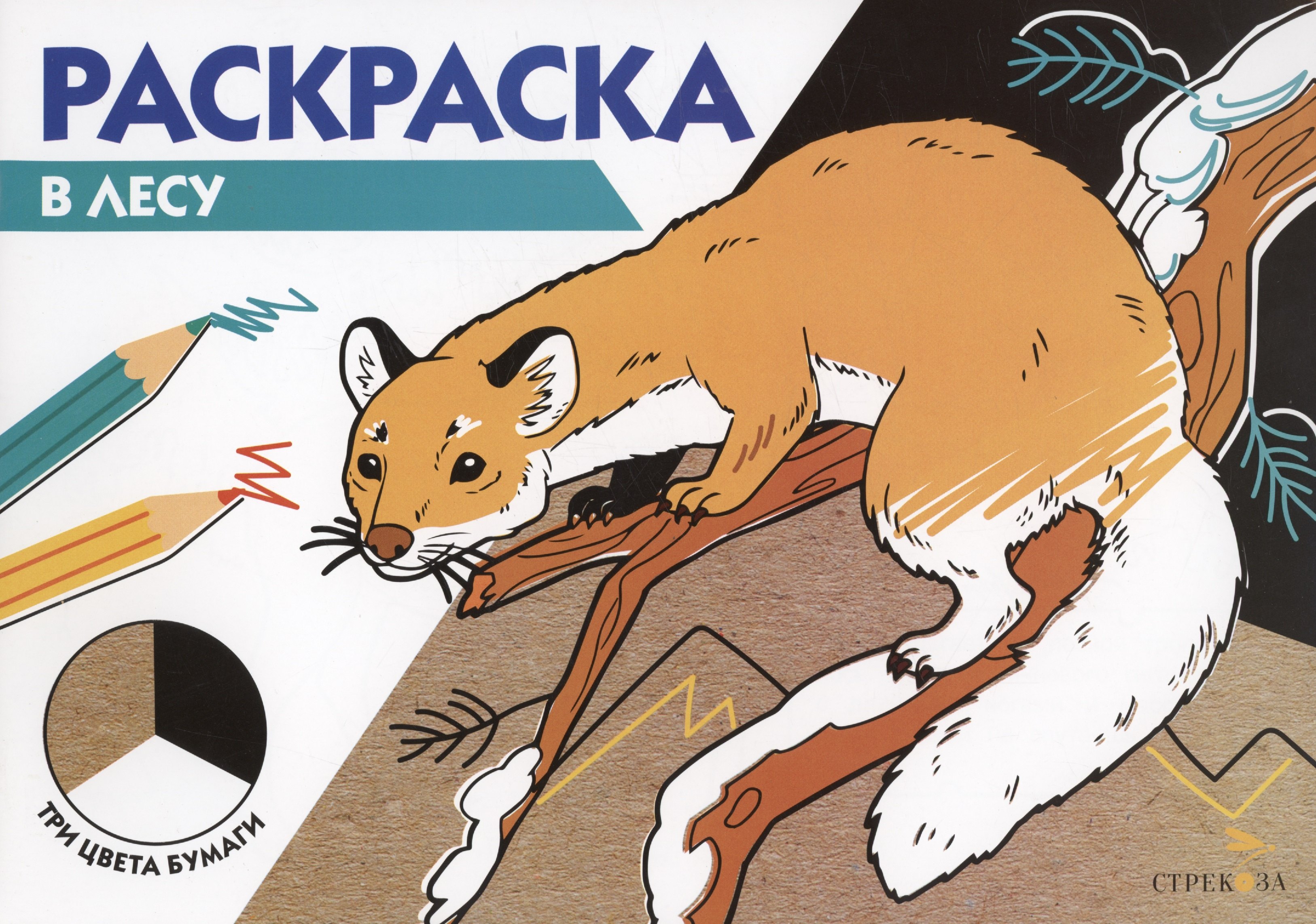 

Раскраска В лесу