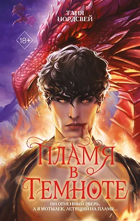 Книга Пламя в темноте (Таня Нордсвей)
