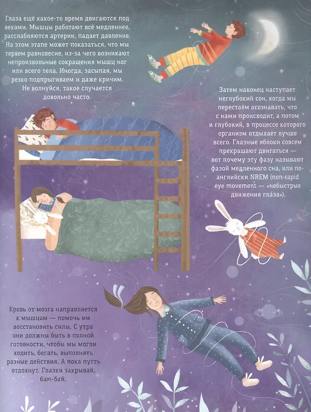 Книга Наступает ночь... Что происходит, пока ты спишь (Моника Утник-Стругала) — 8