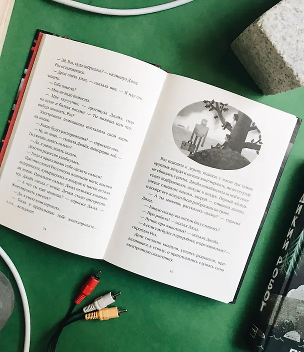 Книга Спасение дикого робота (Питер Браун) — 13