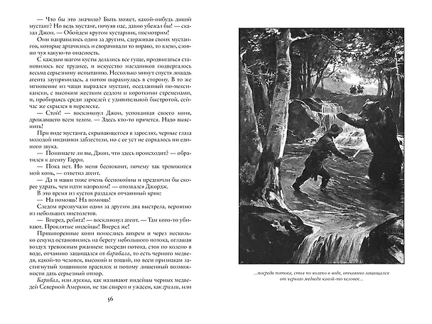 Книга На Дальнем Западе. Охотница за скальпами. Смертельные враги (Эмилио Сальгари) — 5