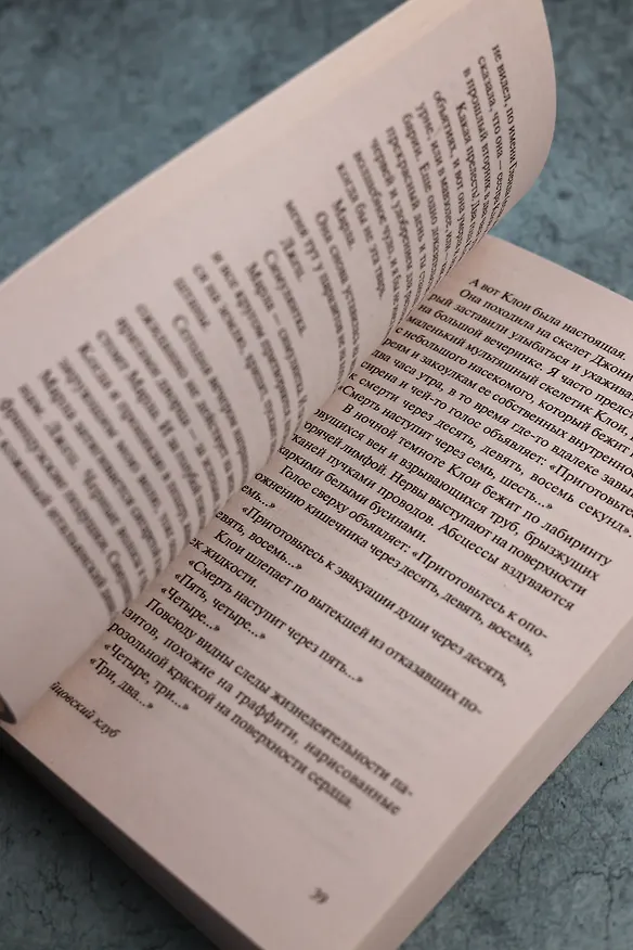 Книга Бойцовский клуб (Чак Паланик) — 10