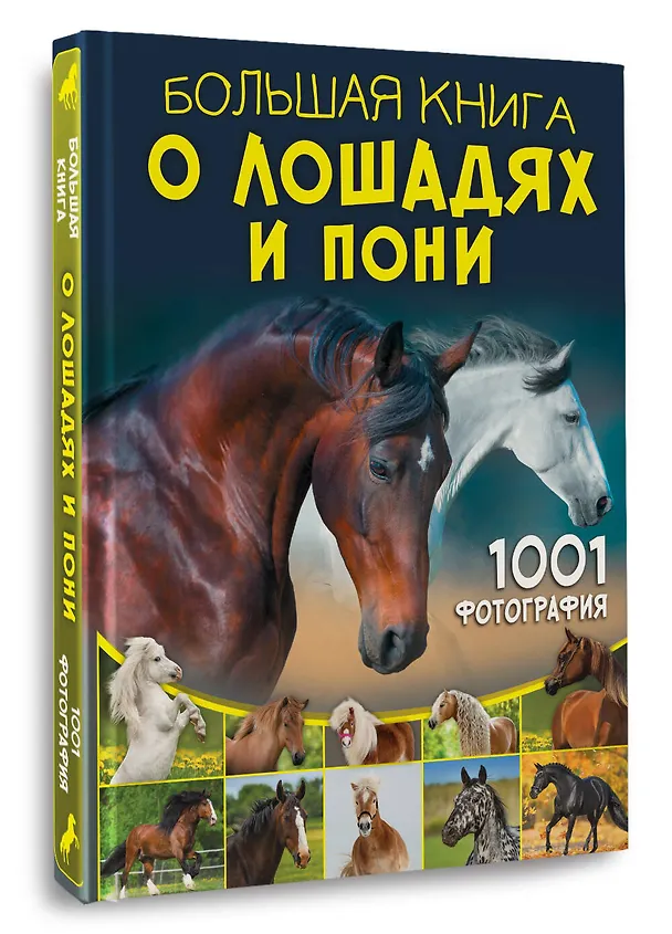 Книга Большая книга о лошадях и пони. 1001 фотография (Анна Спектор) — 4