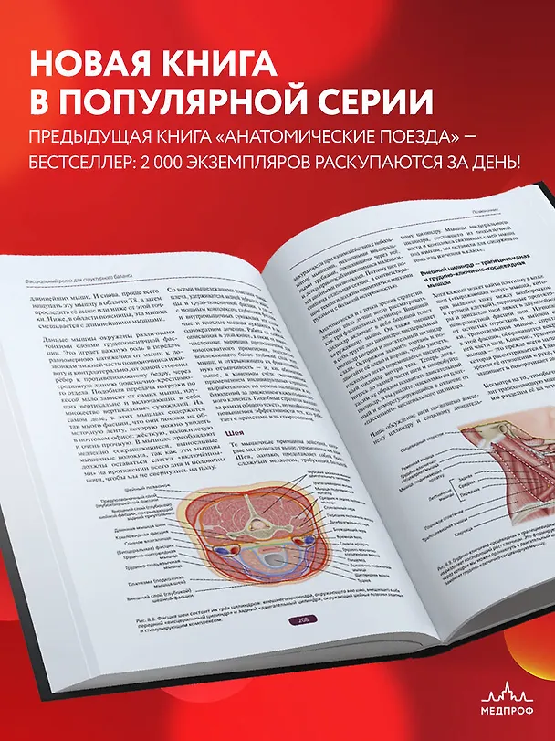 Книга Фасциальный релиз для структурного баланса (Томас Майерс) — 7